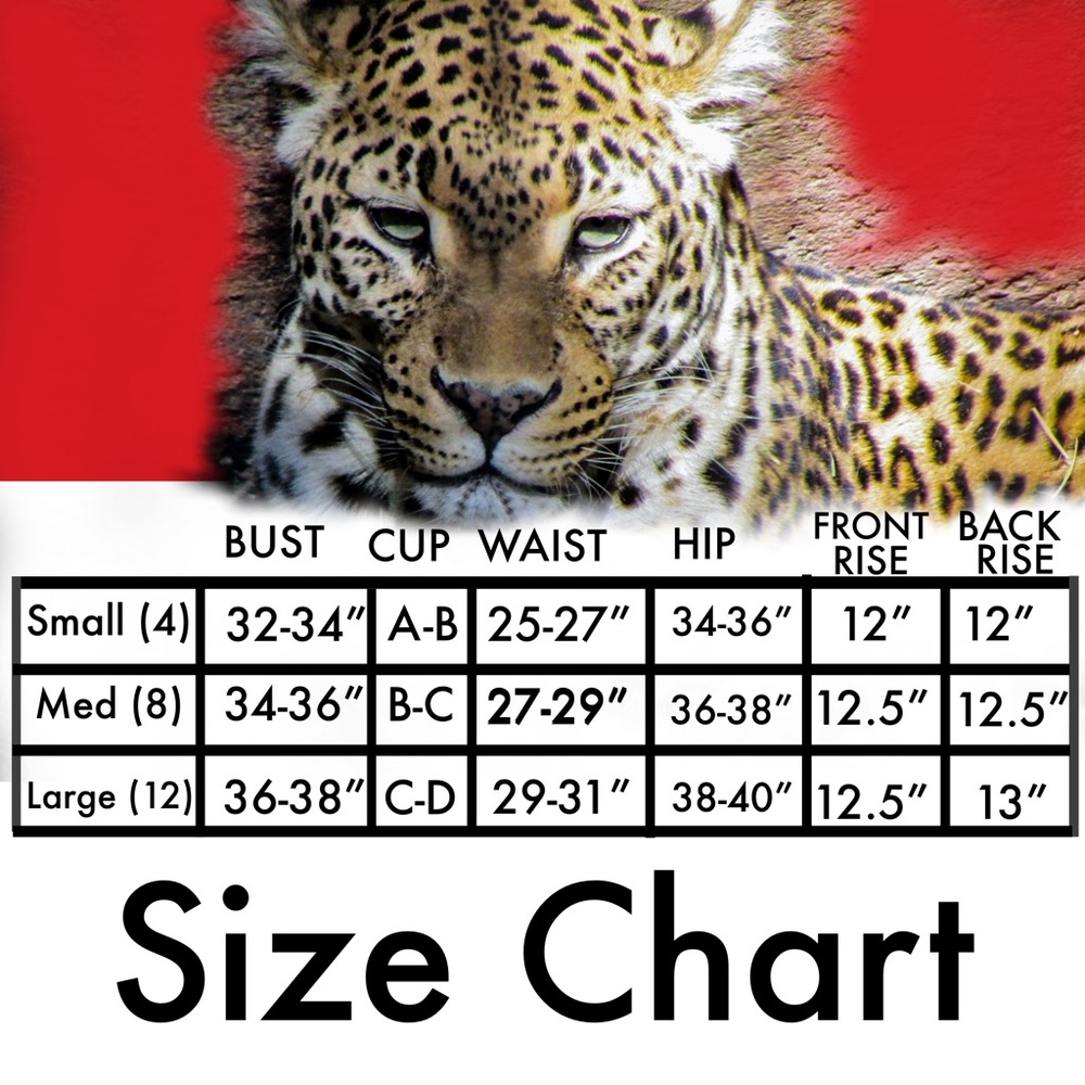 High Waist Leopard Print / Red Bikini NWT - Picture 8 of 8